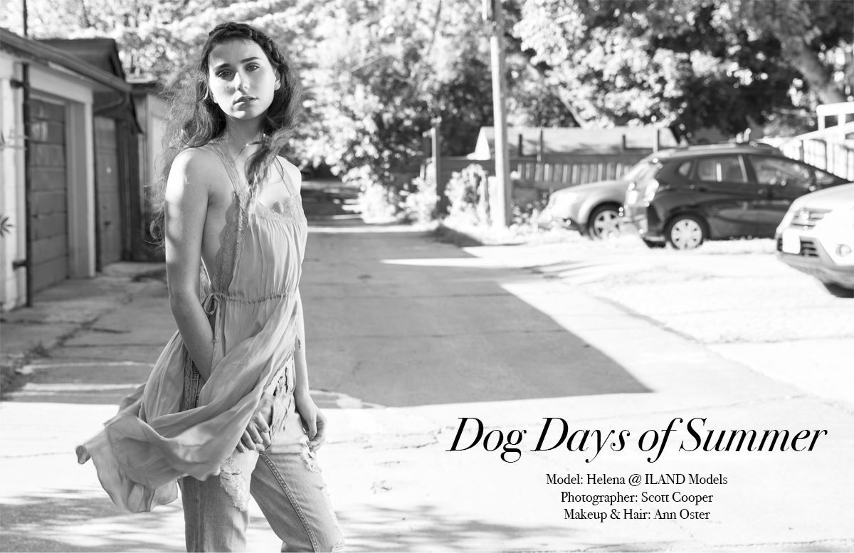 DogDaysofSummer-preview-cover